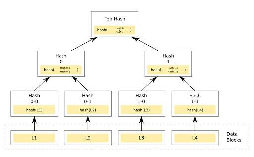 درخت مرکل (Merkle Tree) چیست؟