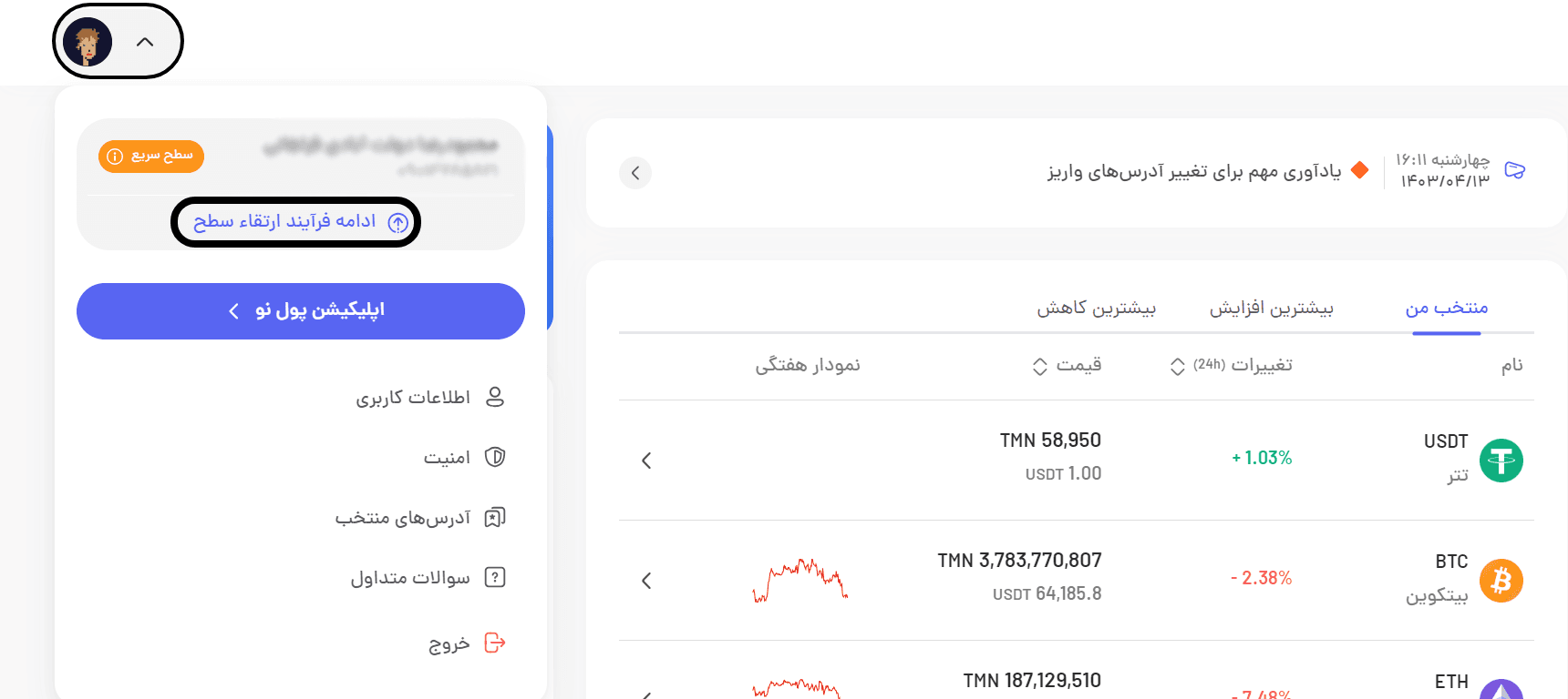 کاربر سطح حرفه‌ای