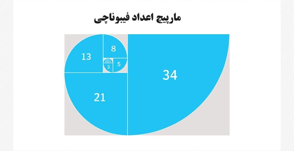 مارپیچ اعداد فیبوناچی