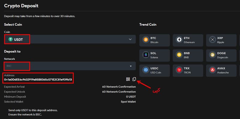 کپی کردن آدرس واریز در صرافی کوین لوکالی